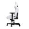 Ігрове крісло Anda Seat Kaiser 2 White Size XL (AD12XL-07-W-PV-W01)